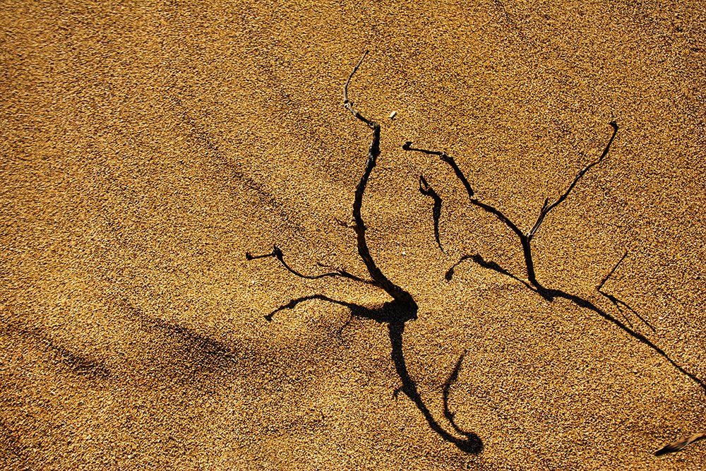 Photograph by Siamak Sabet