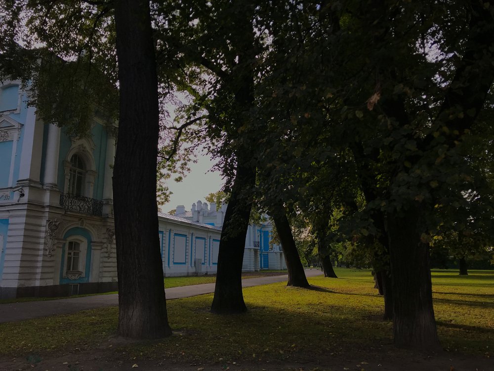 Photograph by Елизавета Байкова