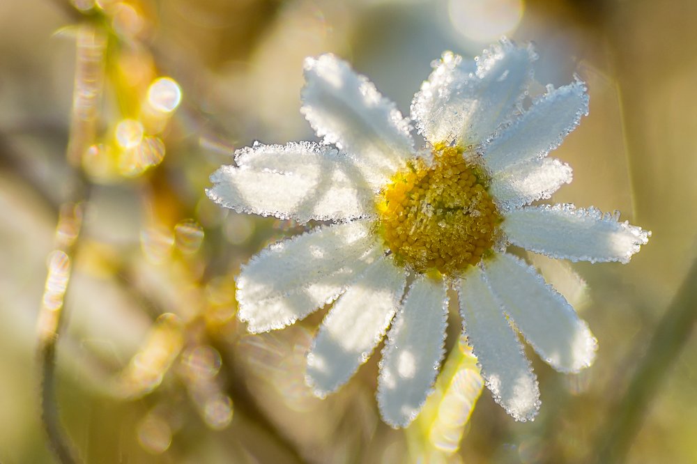 Photograph by Жданов Дмитрий