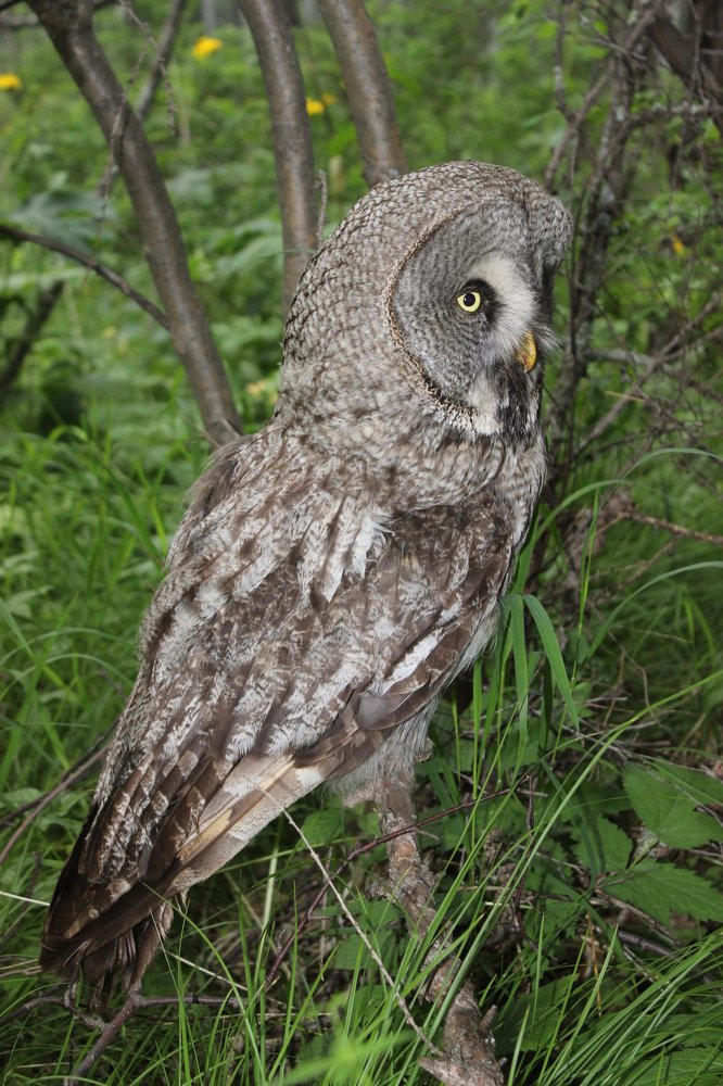 Photograph by Наталья Юрова