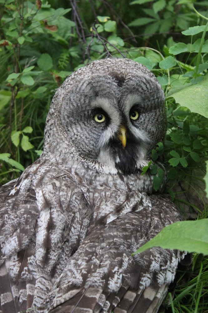 Photograph by Наталья Юрова