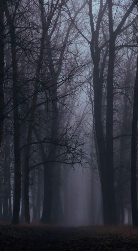 Photograph by Анастасия Калина