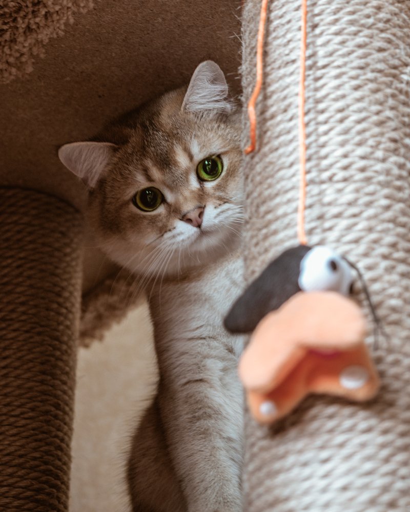 Фотография автора Валентин Ефимов