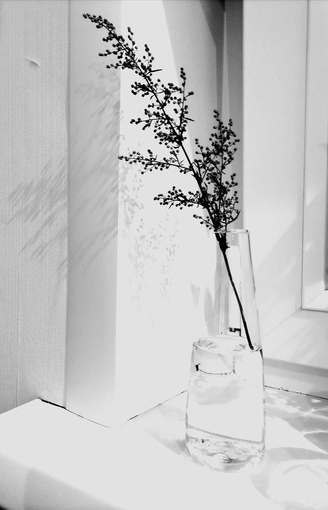 Photograph by Юлия Гагарина