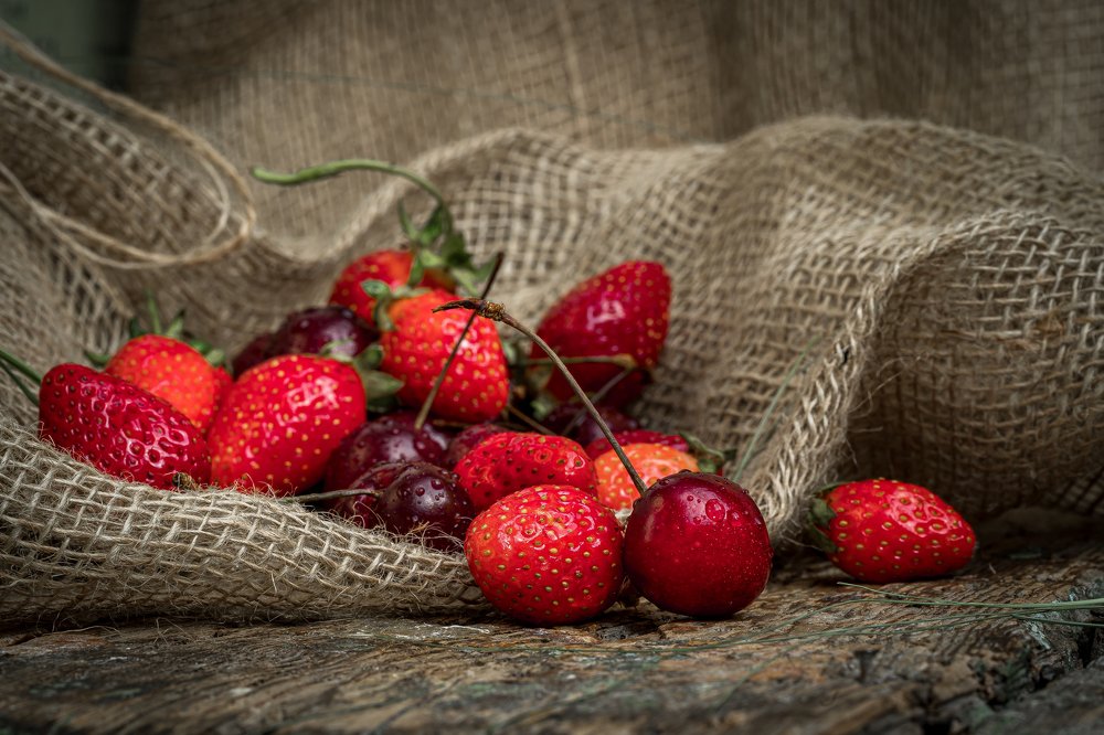 Photograph by Елена Антоненко