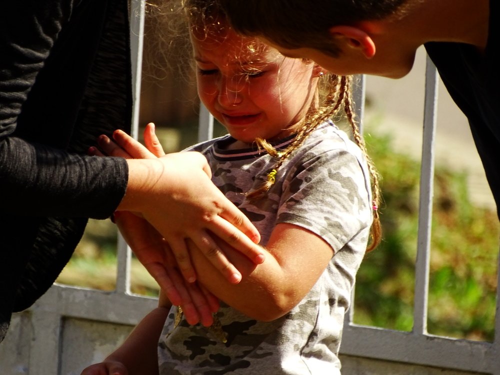 Фотография автора Remus Lucescu