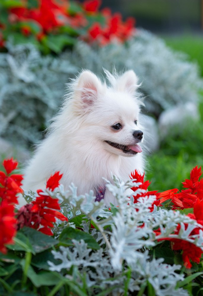 Photograph by Марина Богатырева