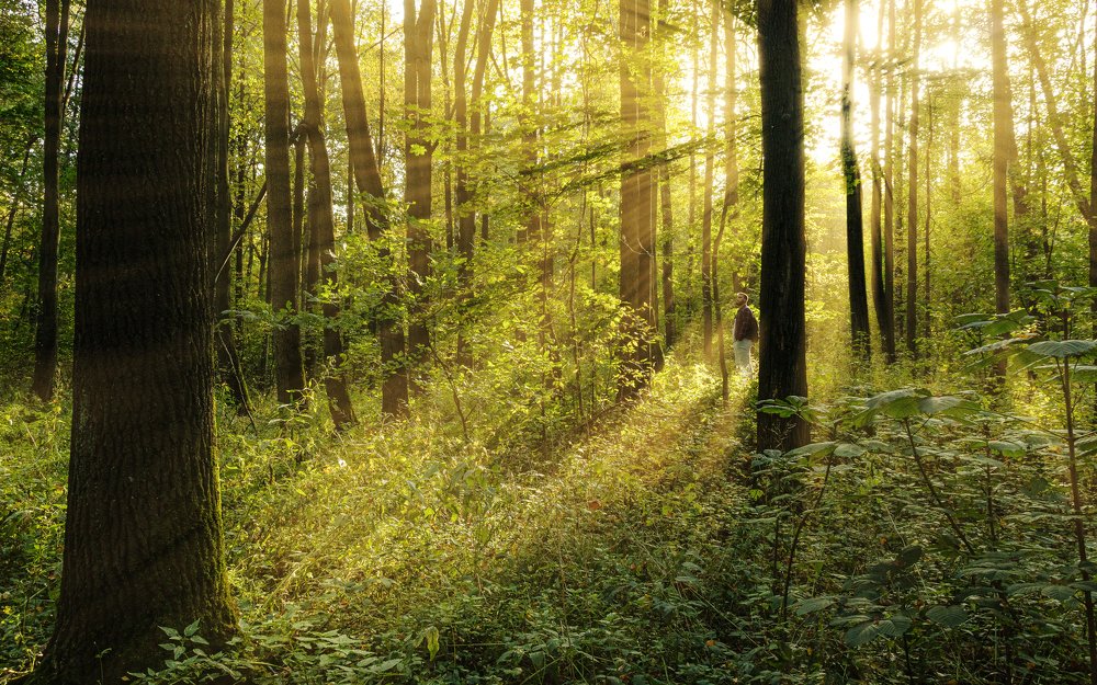 Photograph by Герман Матвеев