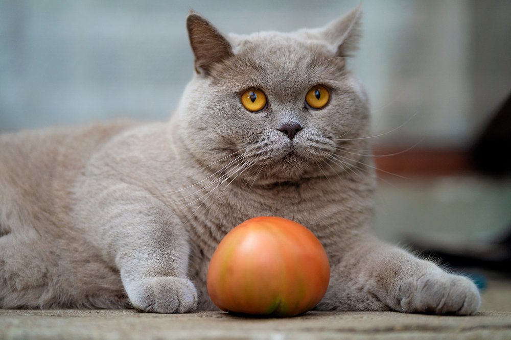 Photograph by Анна Орловская