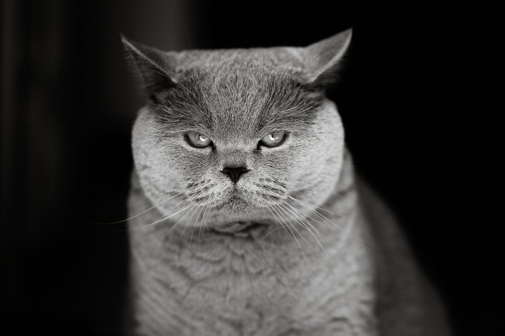 Photograph by Анна Орловская