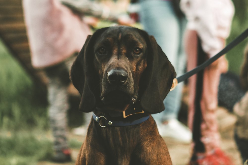 Взгляд в душу через объектив