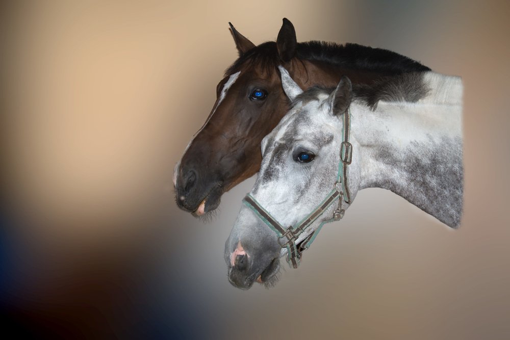 Photograph by Rimma Volchenko