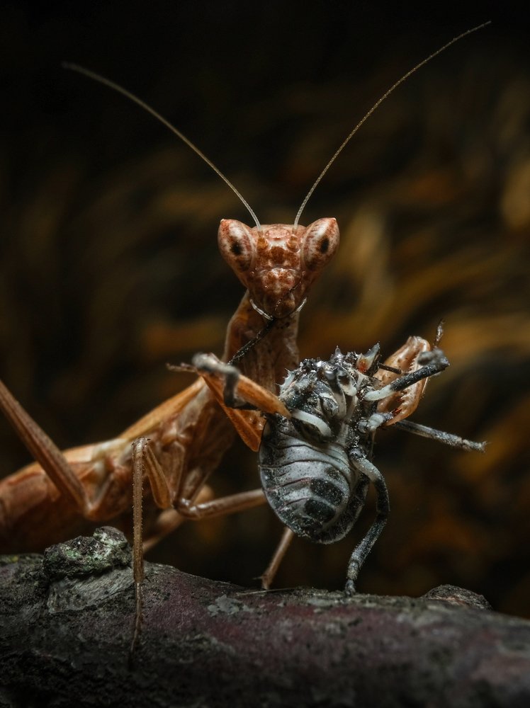 Photograph by Юрьевич Юрий