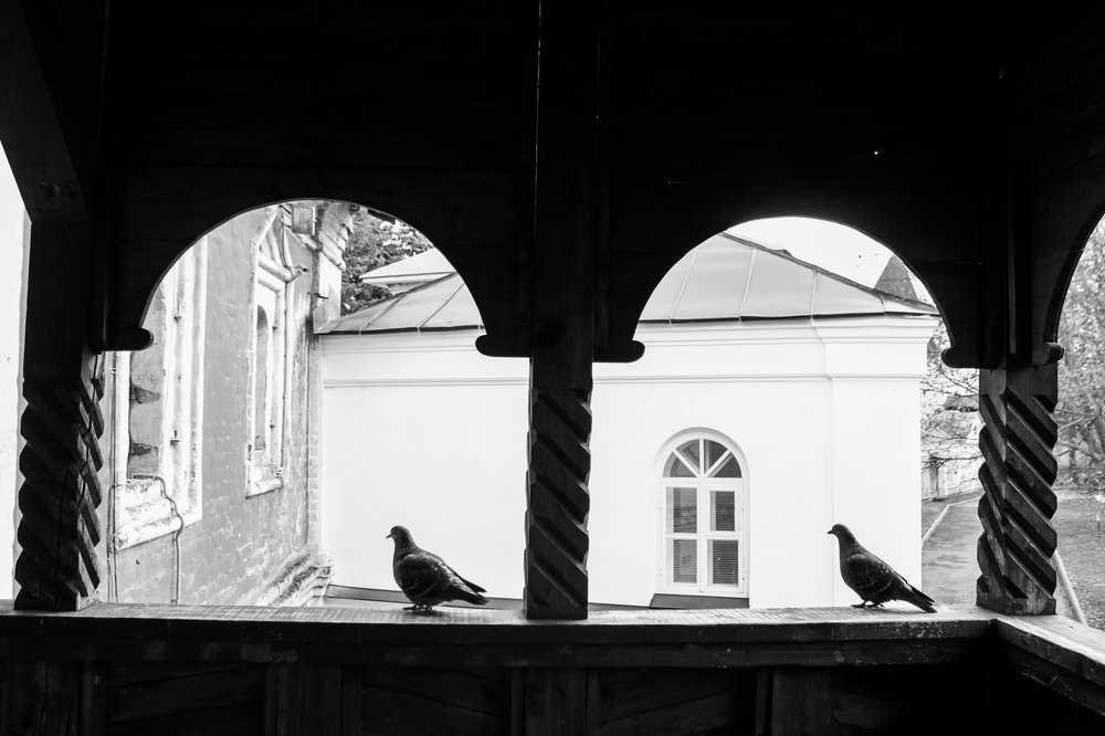 Photograph by Александра Божко