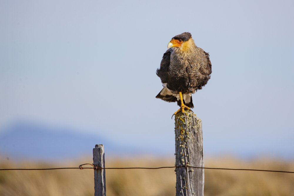 Photograph by Lili Rozet