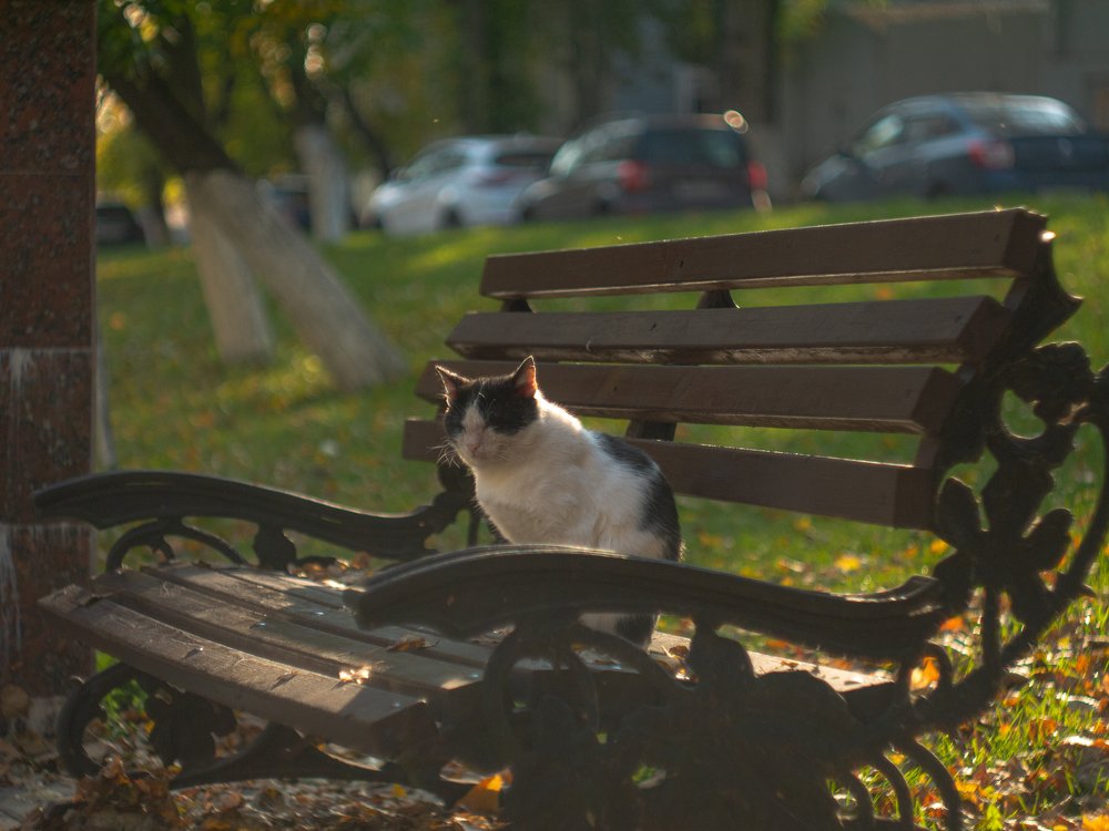 Photograph by Марат Демский