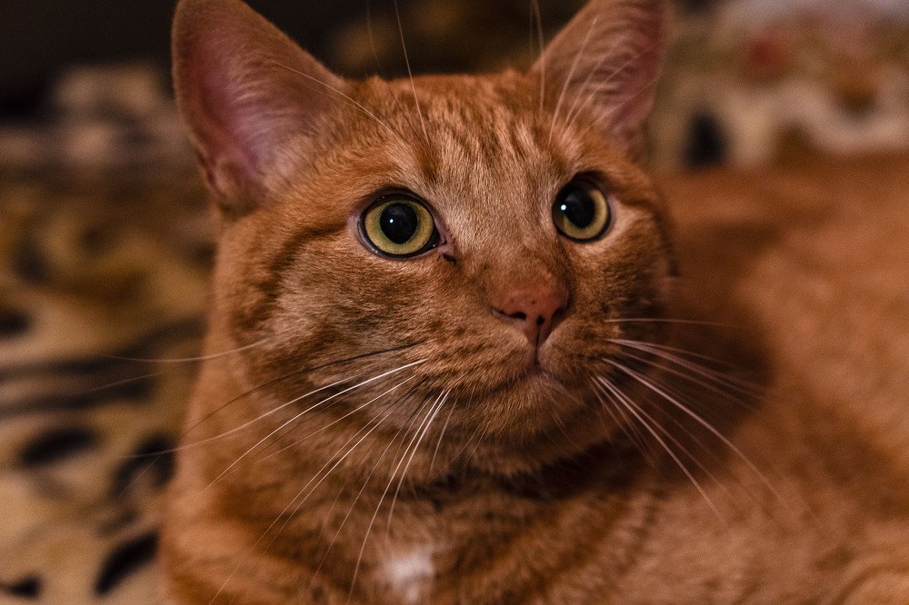 Photograph by Владислав Шигера