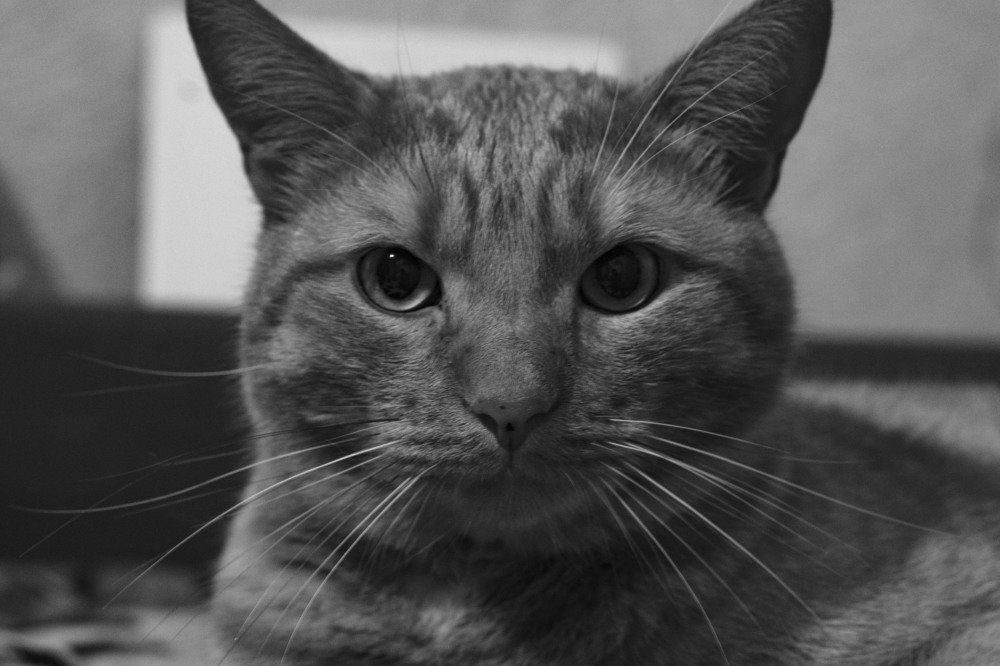 Photograph by Владислав Шигера