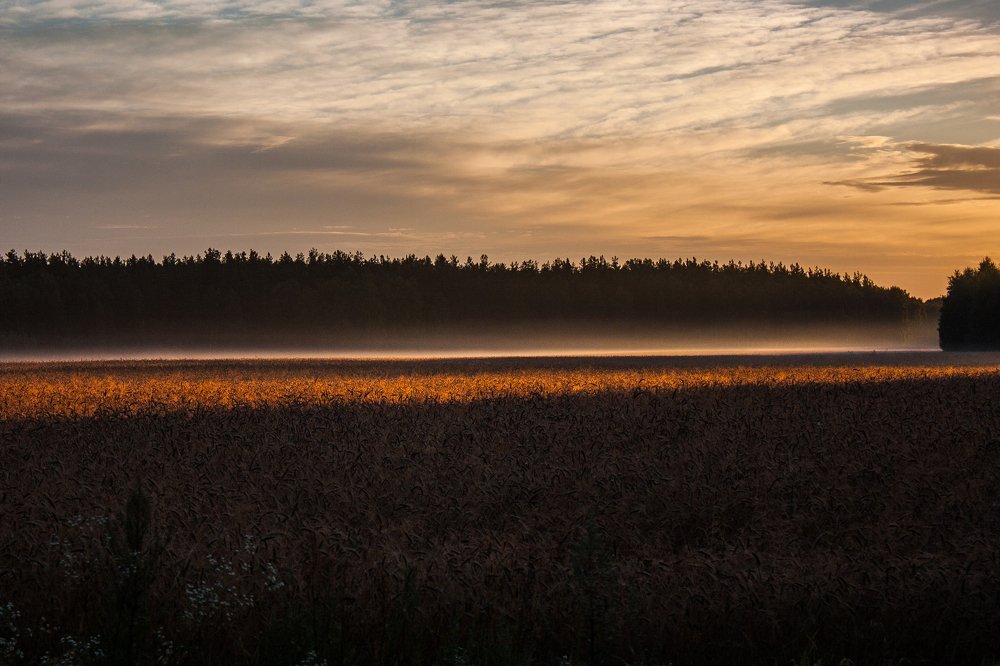 Photograph by Любовь Нефедова