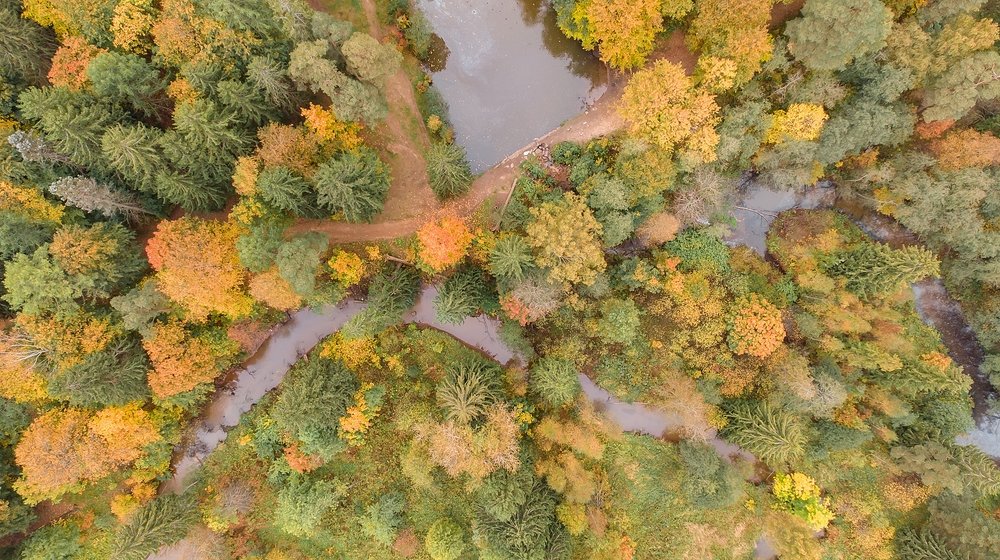 Фотография автора Яна Романова