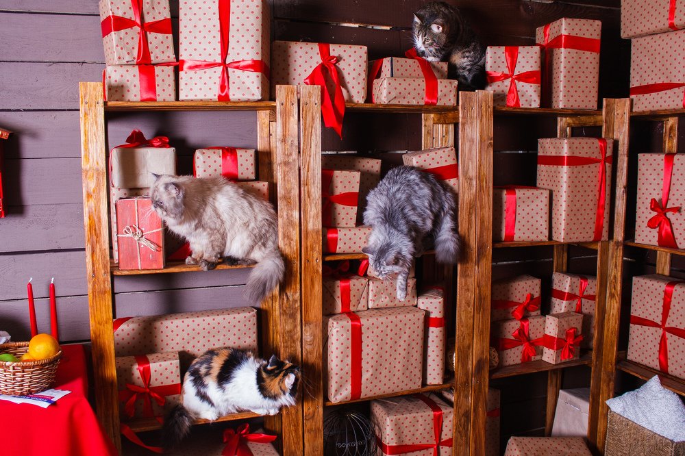 Photograph by Любовь Нефедова