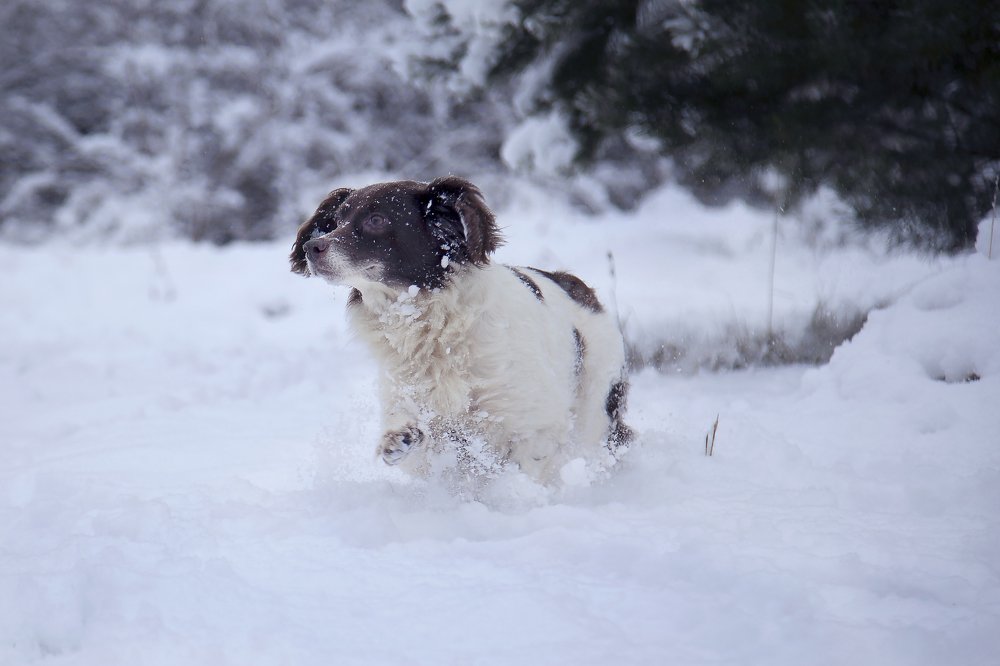 Photograph by Любовь Нефедова