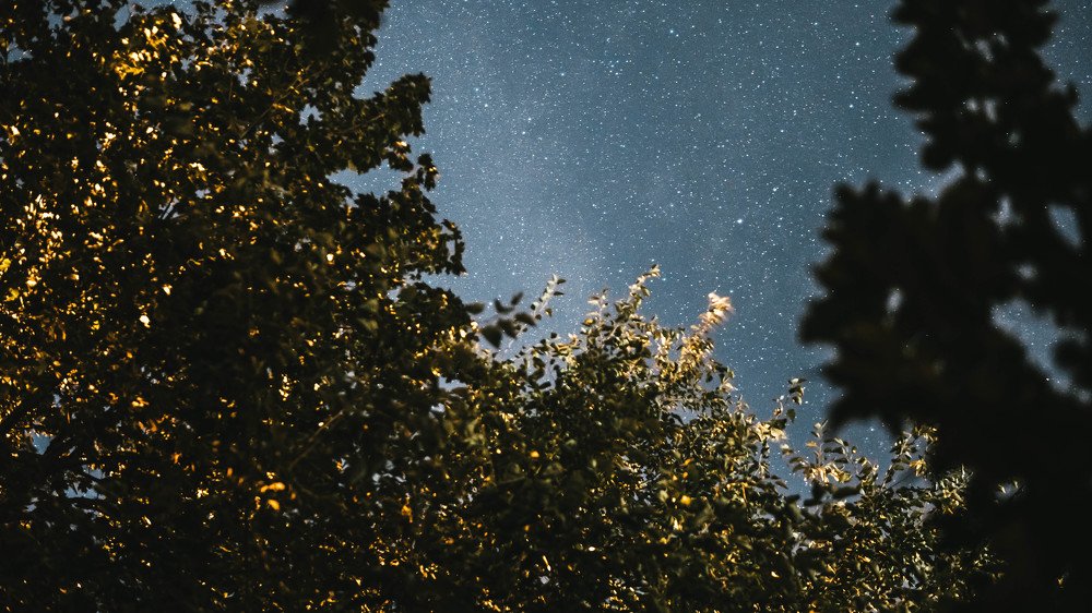 Photograph by Евгений Мериакре