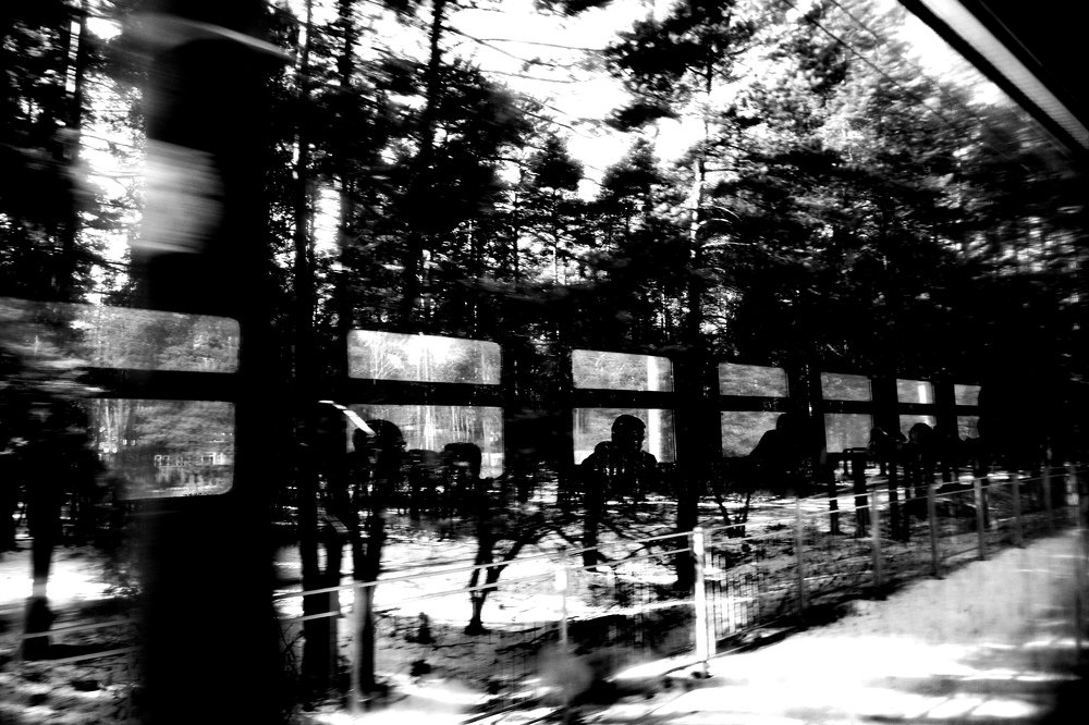 Photograph by Диана Арье