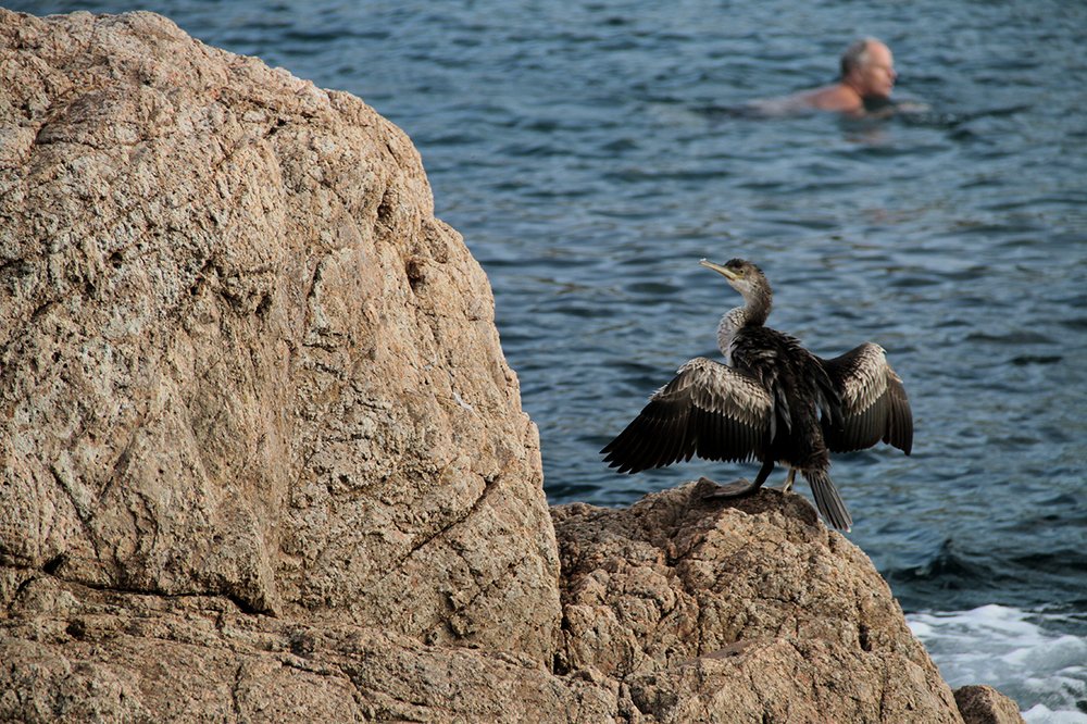 Photograph by Dzianis Mizhui