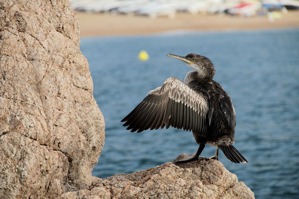 Photograph by Dzianis Mizhui