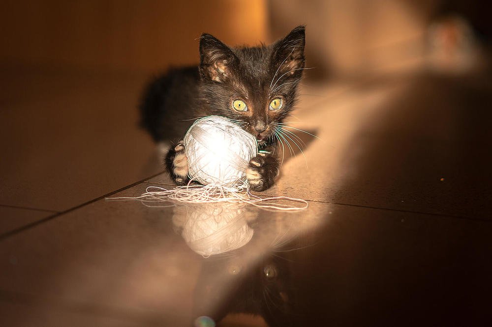 Колобок, колобок,  я тебя съем!