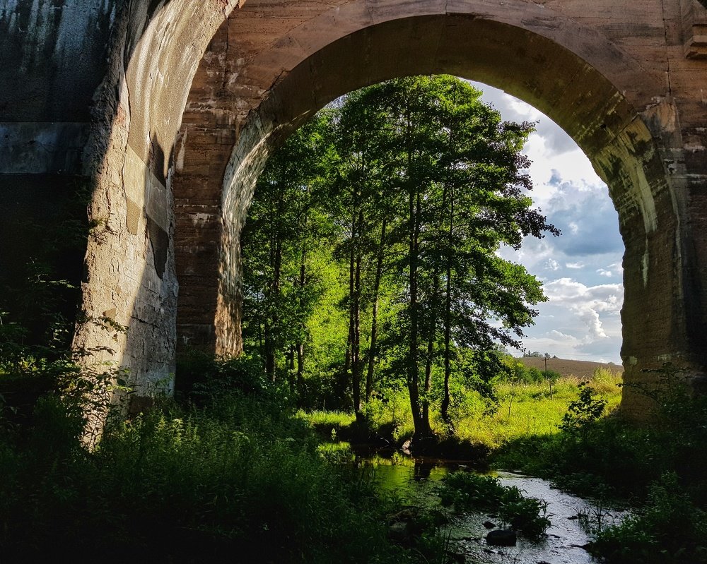 Photograph by Marcin Sokolowski - maarew