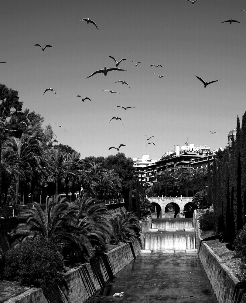 Photograph by Диана Арье