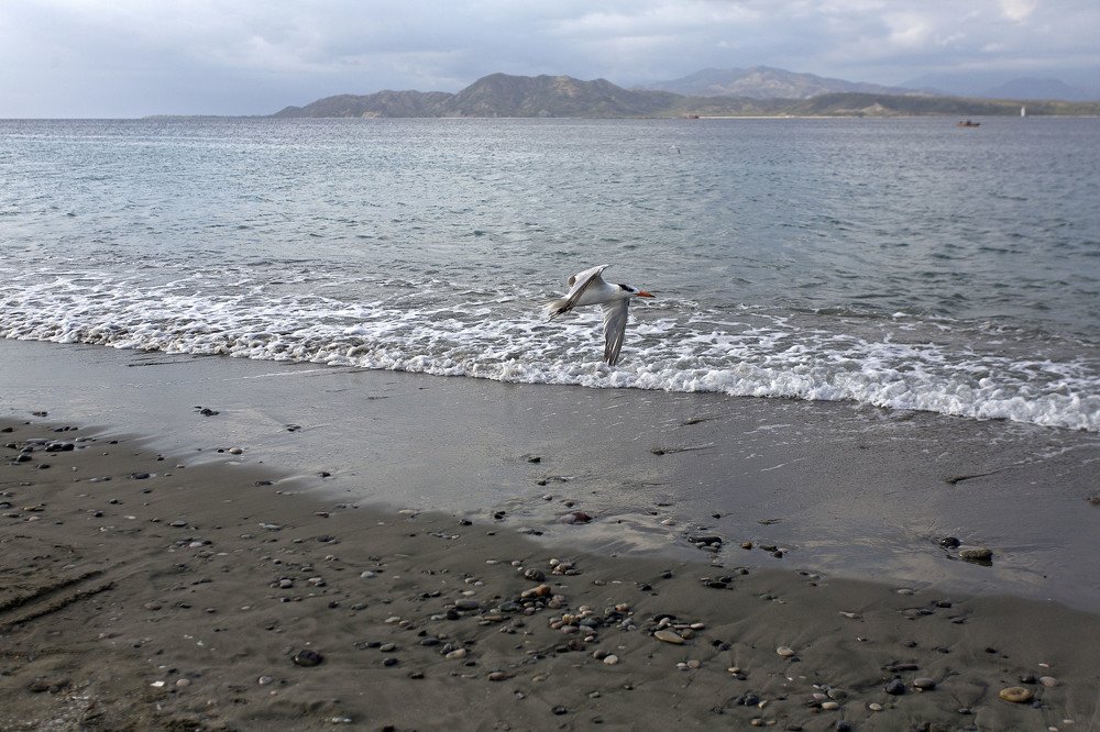 Photograph by Silvaní Hernández