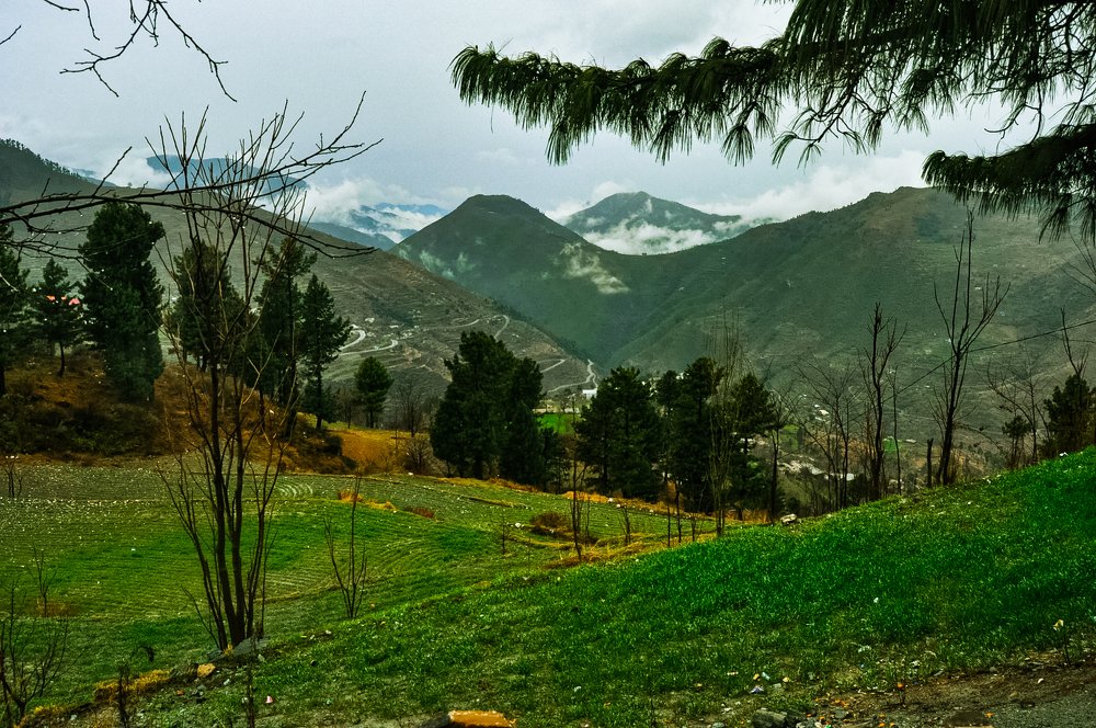 Photograph by Shahir Usmani