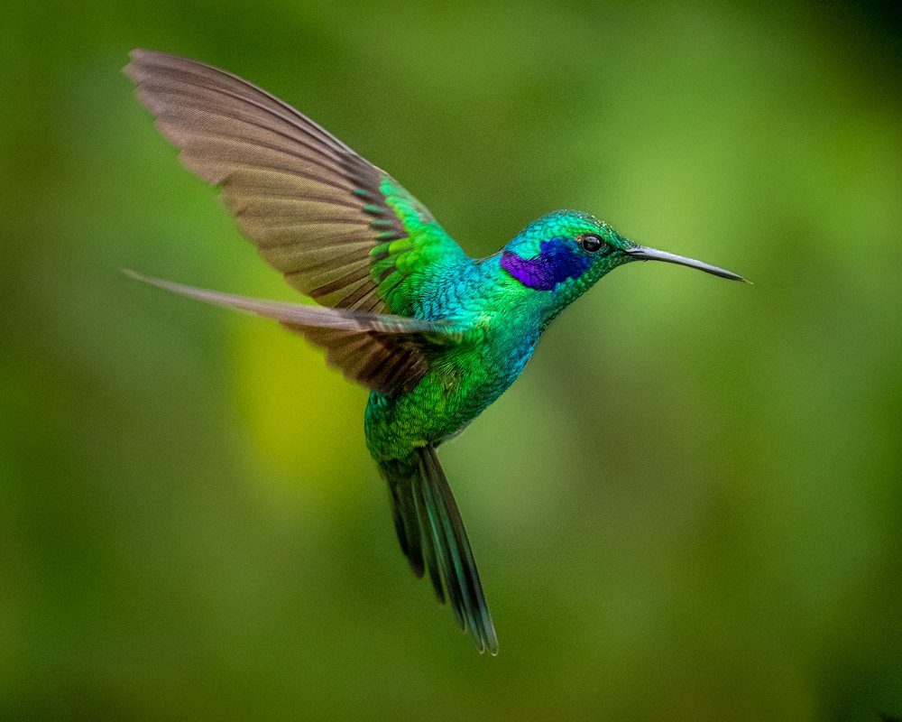 Photograph by Richard Gandara