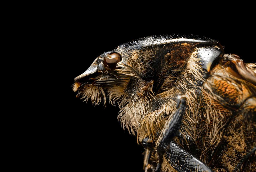 Photograph by Михаил Курихин