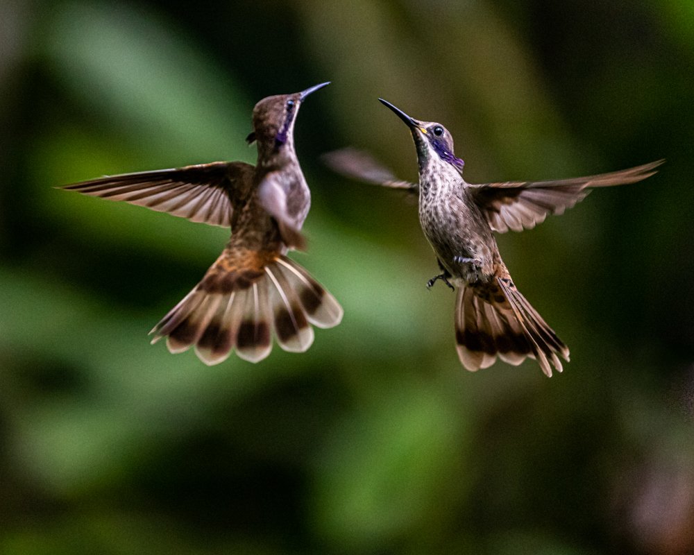 Photograph by Richard Gandara