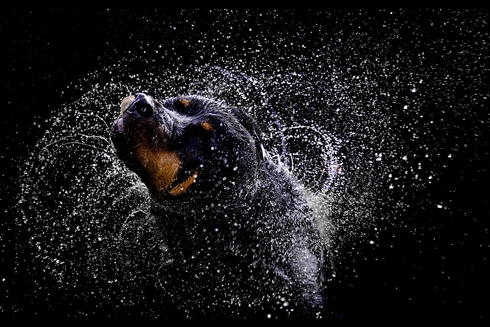 Photograph by Ricardo Q T Rodrigues