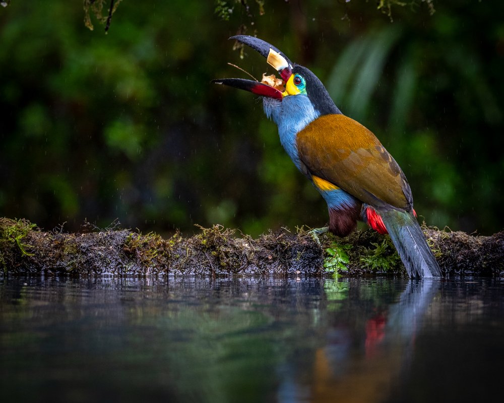 Photograph by Richard Gandara