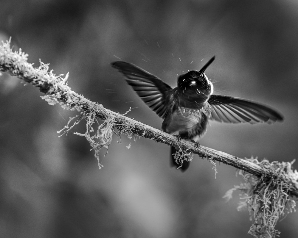 Photograph by Richard Gandara