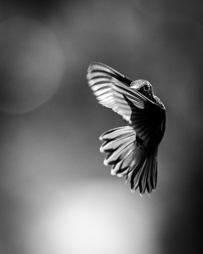 Photograph by Richard Gandara