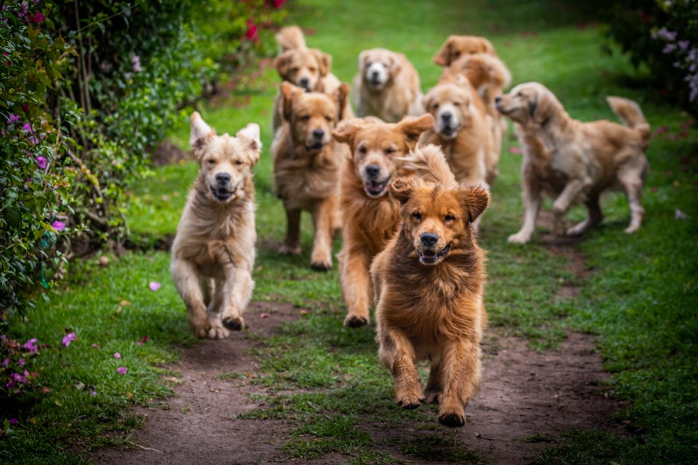 Photograph by Richard Gandara