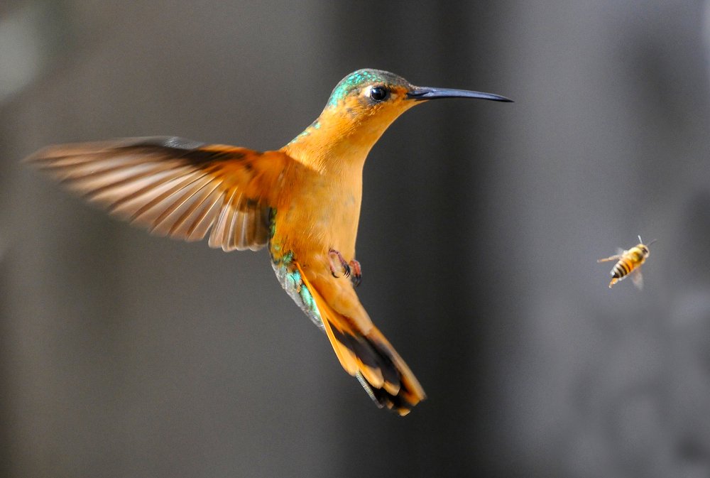 Photograph by Ricardo Ubico