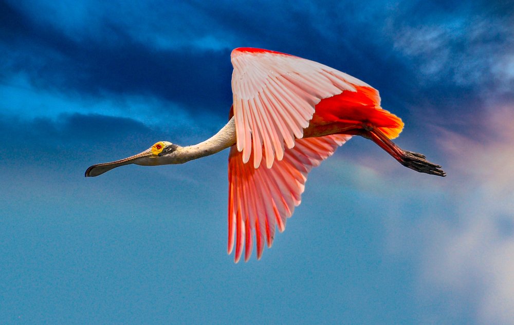 Photograph by Ricardo Ubico