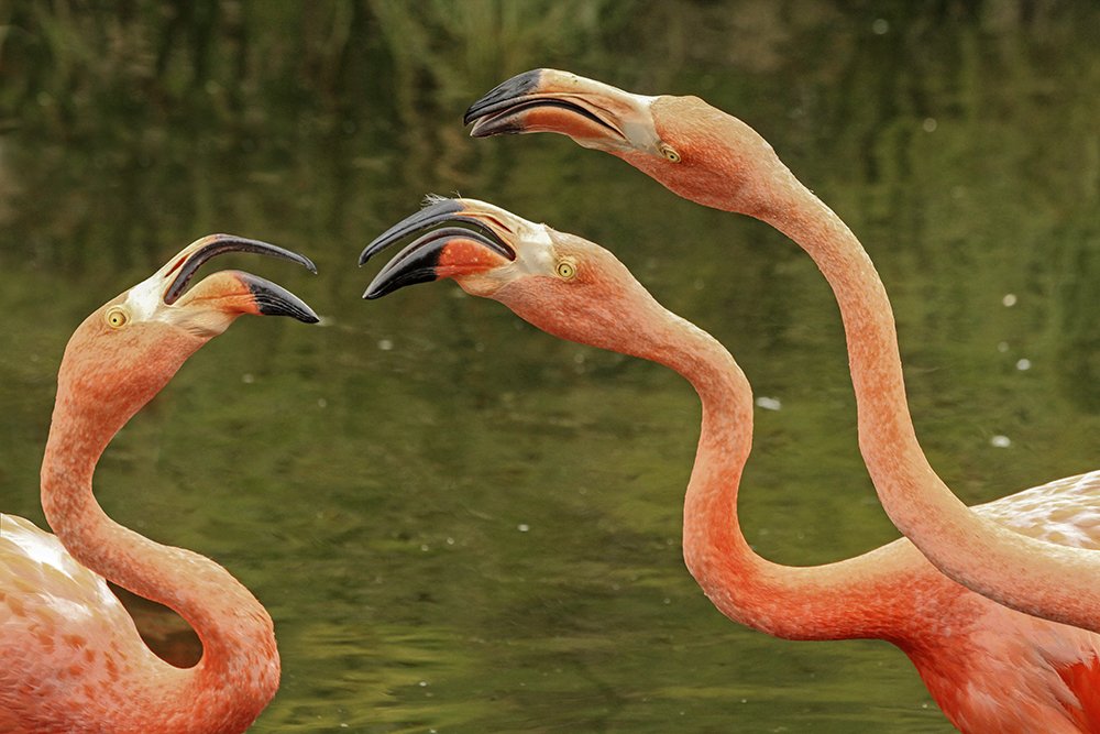 Фотография автора Marina