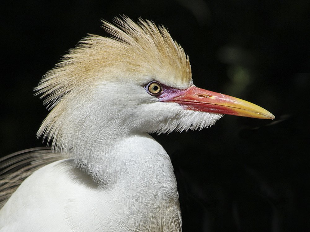 Фотография автора Marina