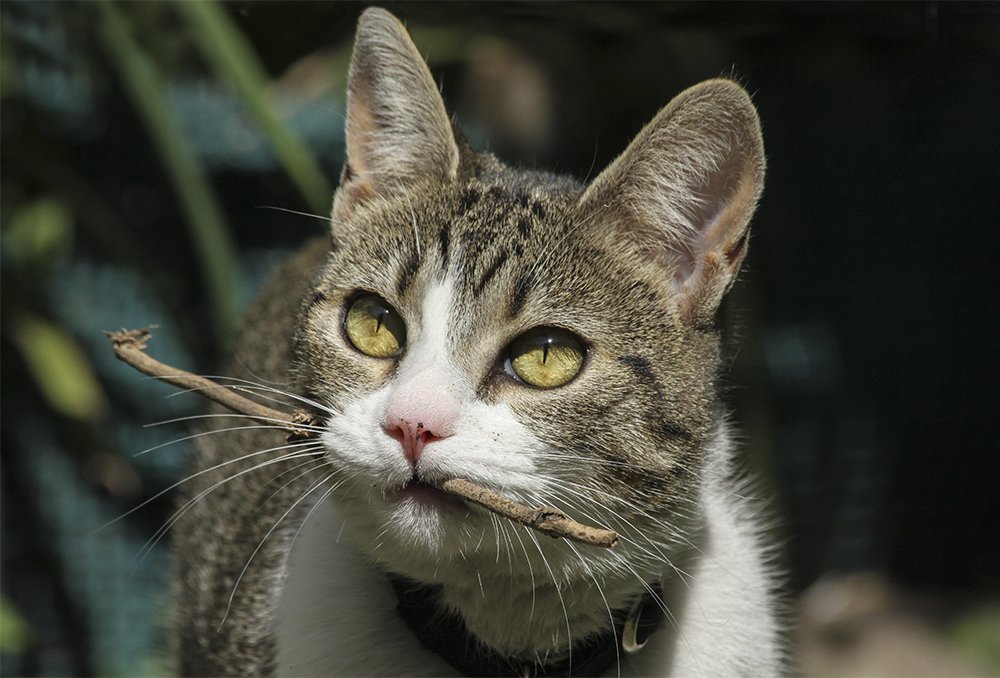 Фотография автора Marina