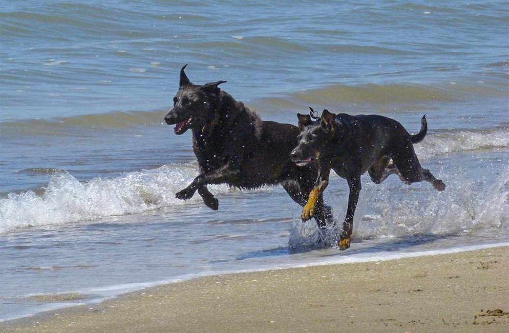 Фотография автора Marina