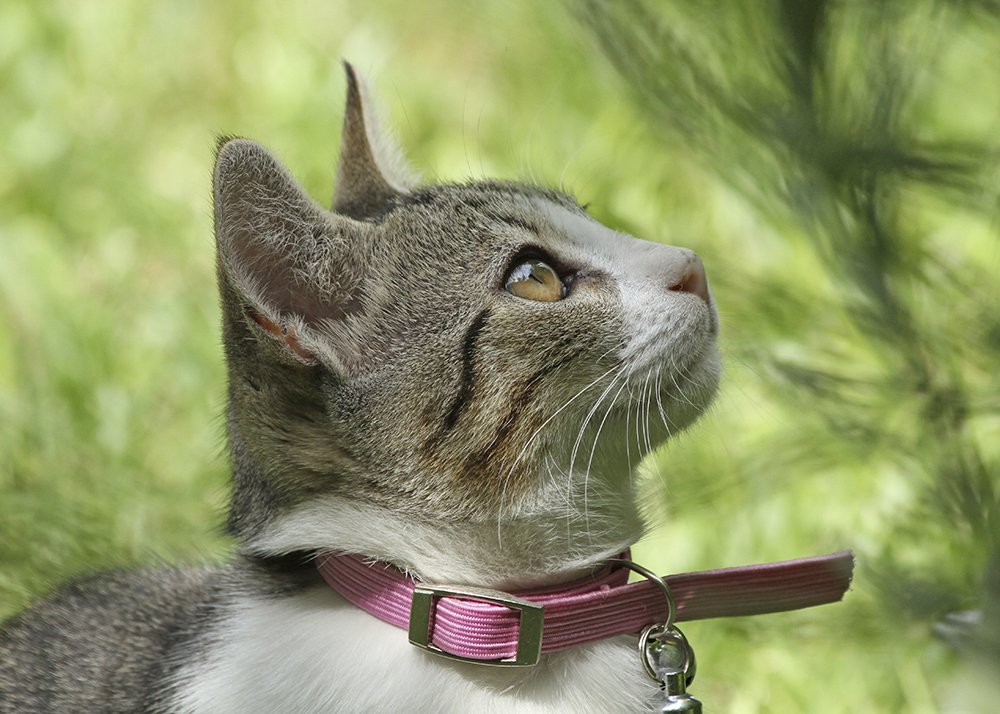 Фотография автора Marina